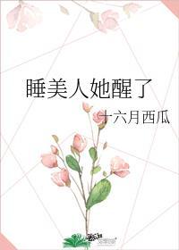 沉睡一百年的公主是谁