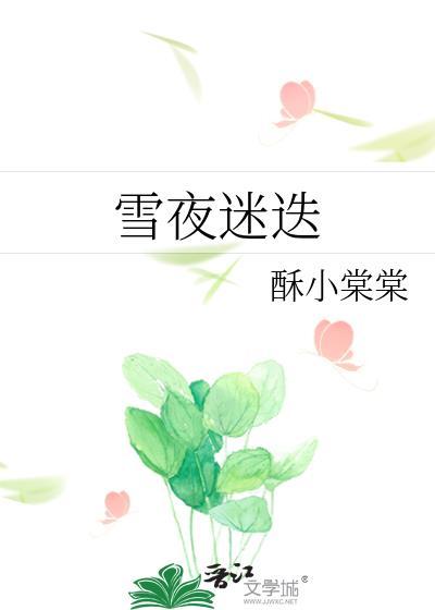 雪夜迷迭 作者酥小棠棠资源