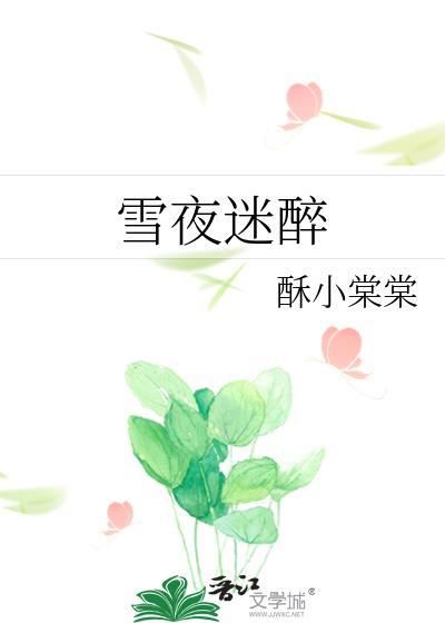 雪夜是什么意思