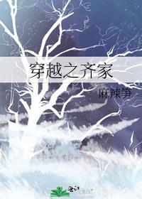 穿越之齐家讲的什么