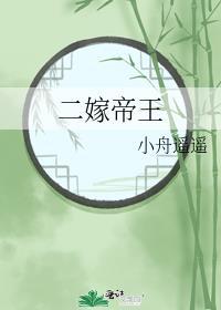 二嫁王妃全文阅读