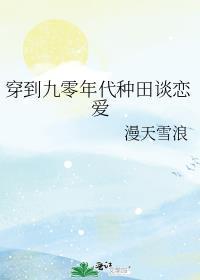 穿到九十年代纪事2k