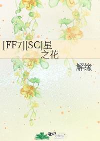 星之命 ff7