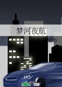 梦河夜航txt