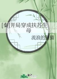 秦开局穿成扶苏生母 流浪的狸猫