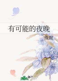 有可能的夜晚这首歌表达了什么