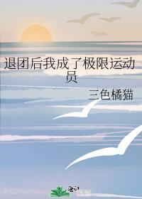 退团后我成了极限运动员免费阅读