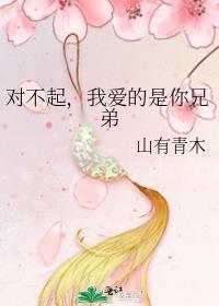 对不起我爱你叫什么歌