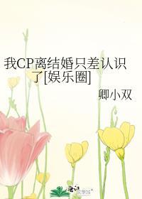 我cp离结婚只差认识了娱乐圈免费