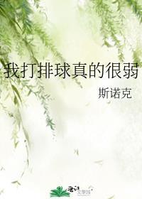 我打排球真的很弱 青鸟穿越之后