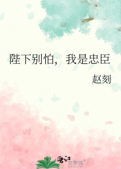 我是忠臣赵况和女主