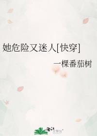 裙钗之下傅清玄