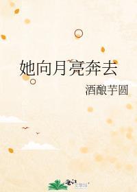 月亮向我奔赴而来