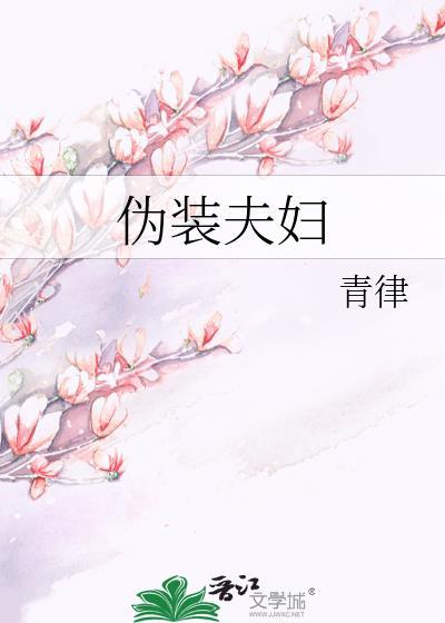 伪装夫妇演员表