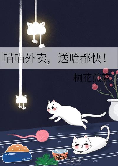喵喵送平台司机