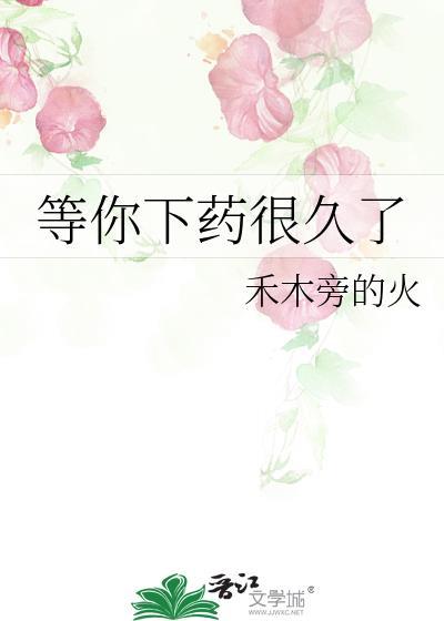 等你下药很久了禾木旁的火