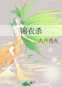锦衣杀电视剧