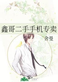 鑫哥二手手机专卖番外txt