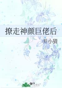 撩走神颜巨佬后by开小猜txt