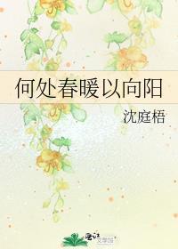 何处向阳全文免费阅读