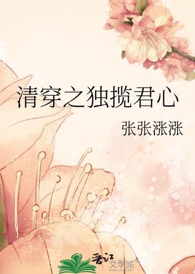 清穿独宠大福晋