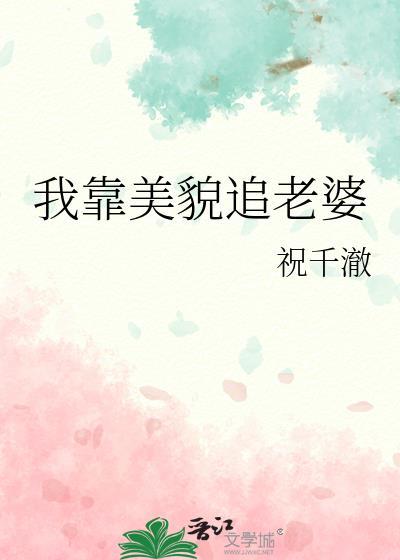 我靠美貌追老婆TXT