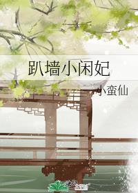 趴墙小闲妃by小蛮仙全文阅读
