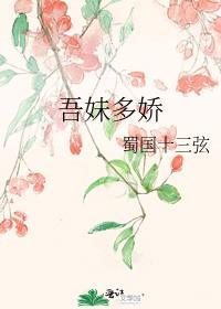 蜀国十三弦