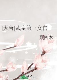 大唐武则天面首
