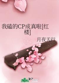 我磕的cp成真啦