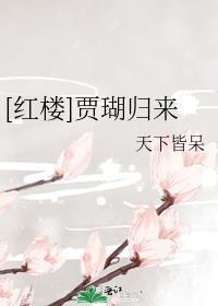 红楼之贾瑚有异能