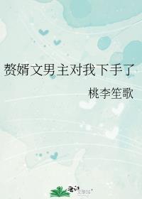赘婿文男主对我下手了百度