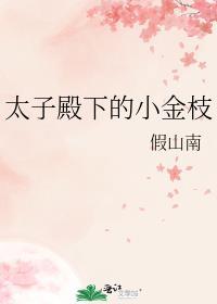 太子殿下的讲究枝呦九