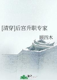 清穿后院晋升守则笔趣阁