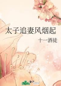 太子追妃记