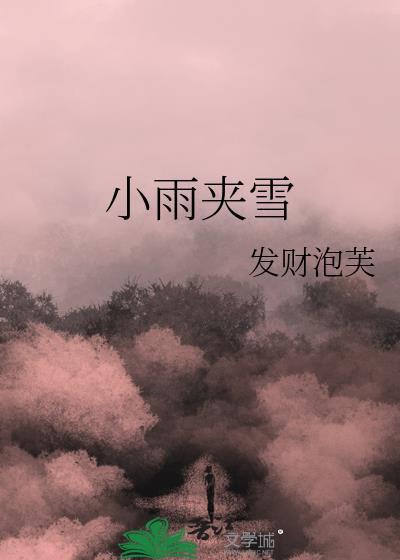 小雨夹雪免费阅读全文