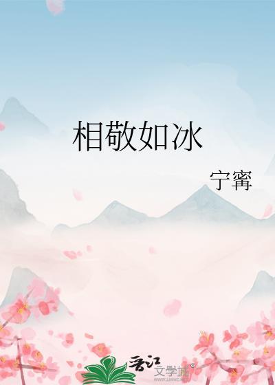 相敬如冰番外1到13