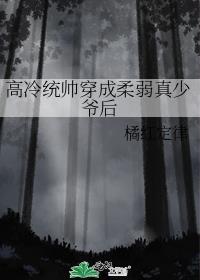 高冷统帅穿成柔弱真少爷后txt