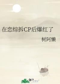 在恋综拆CP后爆红了 树阿懒 笔趣阁