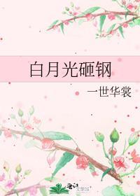 白月光砸钢 笔趣阁