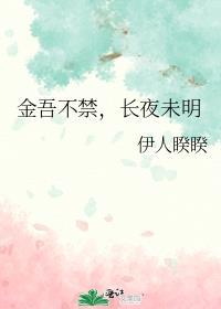 金吾禁夜什么意思