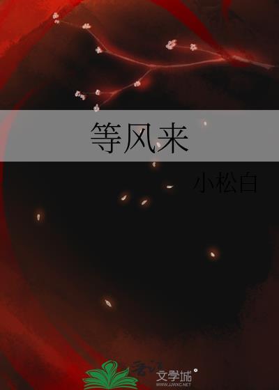 等风来小松白