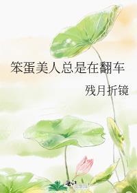 做猫的方法