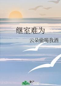 继室难为1v2(启夫微安)