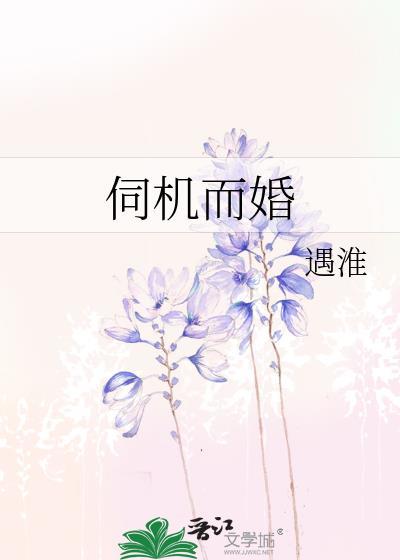 伺机而婚txt遇淮