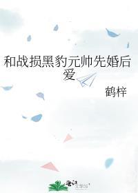 和战损黑豹元帅先婚后爱笔趣阁
