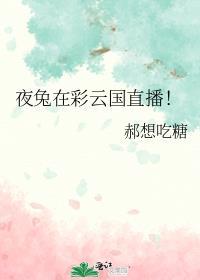 夜兔在彩云国直播