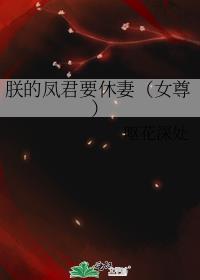 朕的将军是凤君在线阅读