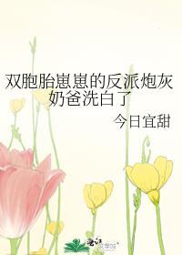 双胞胎崽崽的反派炮灰奶爸洗白了免