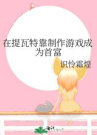 在提瓦特靠制作游戏成为首富百度知道